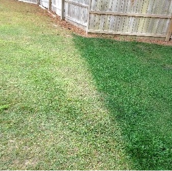 The Business Of Lawn Painting Bio Dry